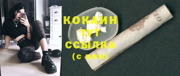 мяу мяу кристалл Няндома